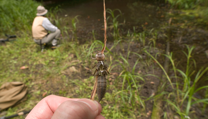 c0042548_12512077.gif