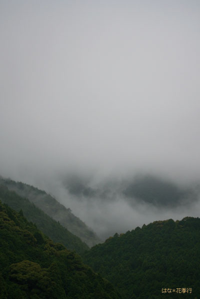 梅雨空_d0036450_1073789.jpg