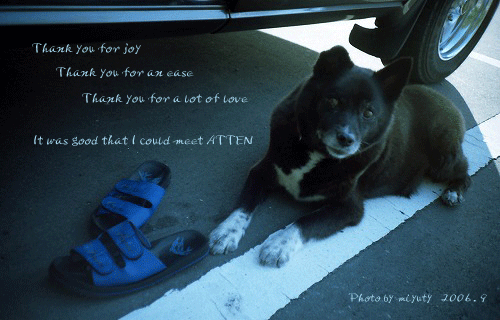 d0076352_23101633.gif