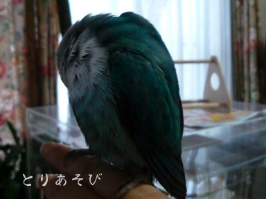 天網恢々粗にして漏らさず_e0147757_17331519.jpg