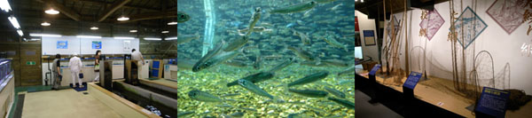 a0083760_156344.jpg