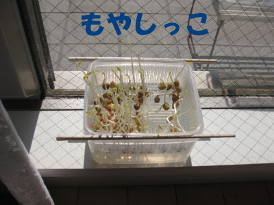 b0158061_21448.jpg