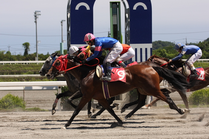 西川敏弘騎手、通算勝利2100勝達成～_a0077663_18532019.jpg