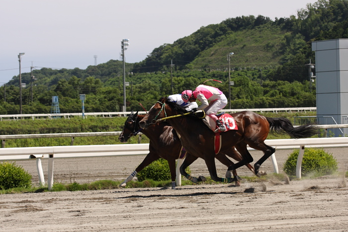 西川敏弘騎手、通算勝利2100勝達成～_a0077663_1853561.jpg