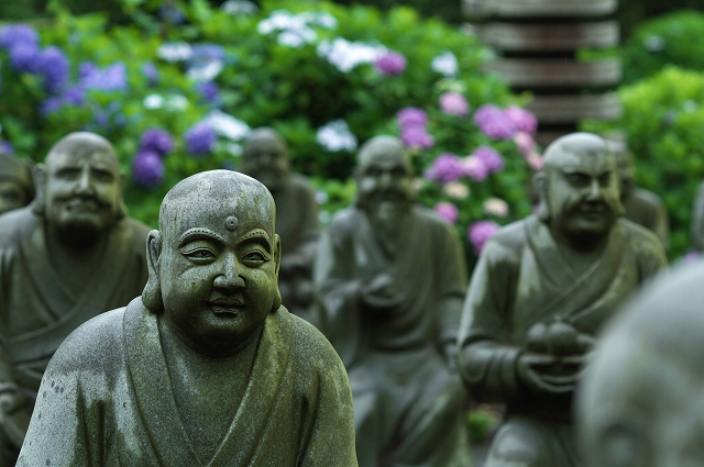 光徳寺 2_f0018464_63742.jpg