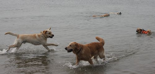 週末の海編_b0094265_16561466.jpg