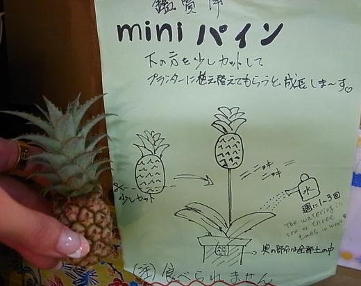沖縄の思い出 ★ お土産偏_c0151965_18194426.jpg