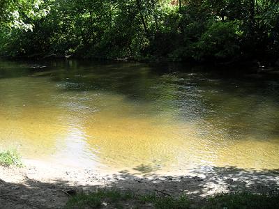 a0124077_10115154.jpg
