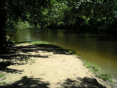 a0124077_106968.jpg