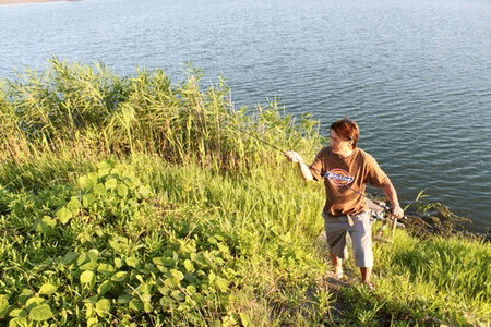 c0035980_17541735.gif