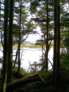 c0183880_15333324.jpg
