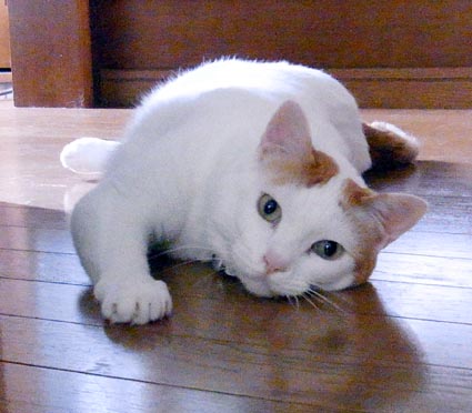 f0022292_0444079.jpg
