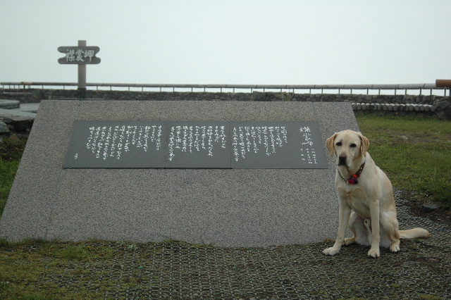 d0020993_93404.jpg