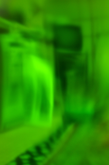 d0136901_06338.jpg