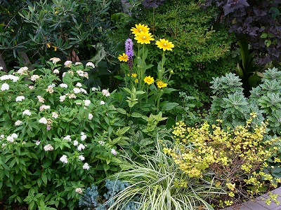 a0123003_2365976.jpg