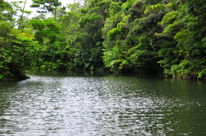 b0158403_1723076.jpg