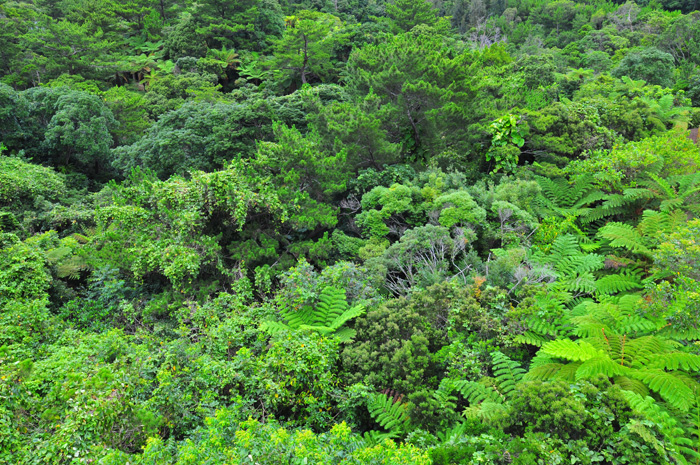 b0158403_17264100.jpg