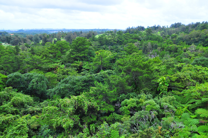 b0158403_17264454.jpg