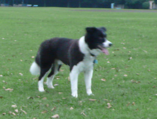 c0101713_21492513.jpg