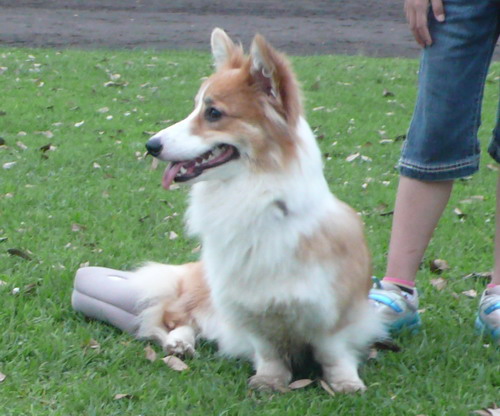 c0101713_2150480.jpg
