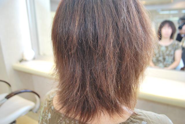実は 怖いんです 縮毛矯正ストレート 元住吉 武蔵小杉 美容室クリスティ 美容師obamaの店長日記 実は 怖いんです 縮毛矯正ストレート 元住吉 武蔵小杉 美容室クリスティ 美容師obamaの店長日記