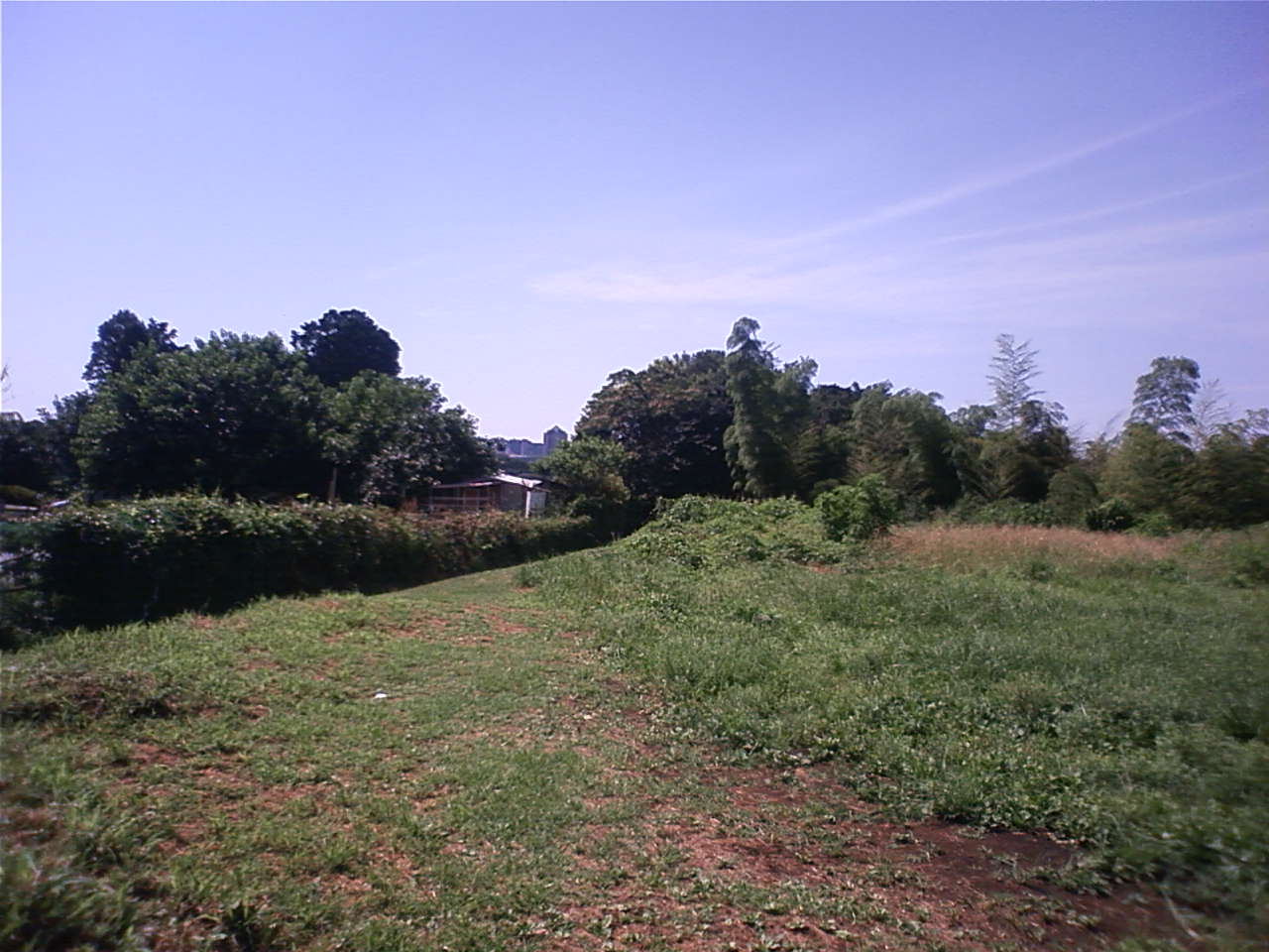 b0185519_01149.jpg
