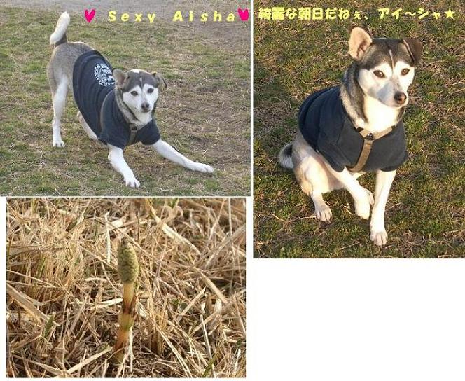 キレイな朝日だねぇ☆ _e0173219_12194695.jpg