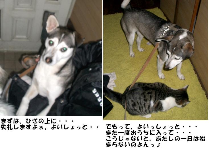 最後の朝。 _e0173219_1219934.jpg