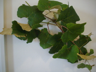 c0172620_22573651.jpg