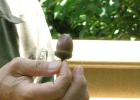 f0121321_13172947.jpg