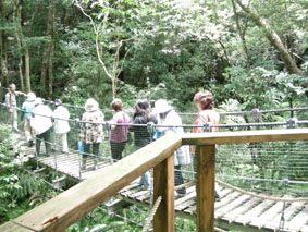 f0121321_1434810.jpg