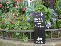 b0147224_20405974.jpg