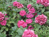 b0147224_20593718.jpg