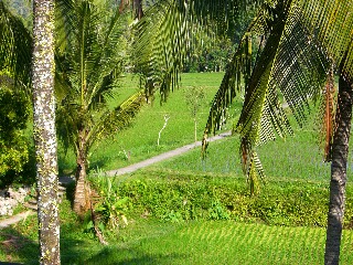 d0133225_22515291.jpg