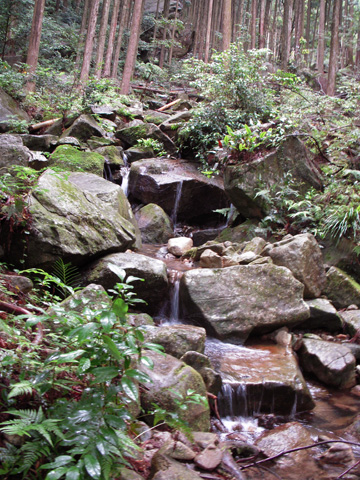 馬越峠_c0077531_0265985.jpg