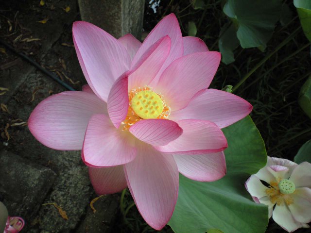 b0180433_0211554.jpg