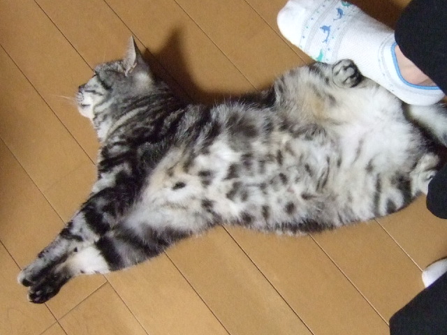 b0182334_14141463.jpg