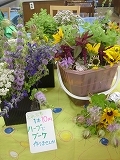 f0167635_041568.jpg