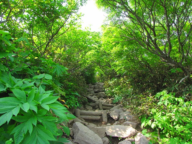 6月28日（日）　その１　磐梯山♪_b0097836_21574288.jpg