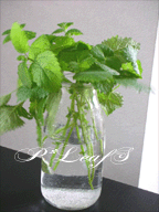 c0176651_17205130.gif