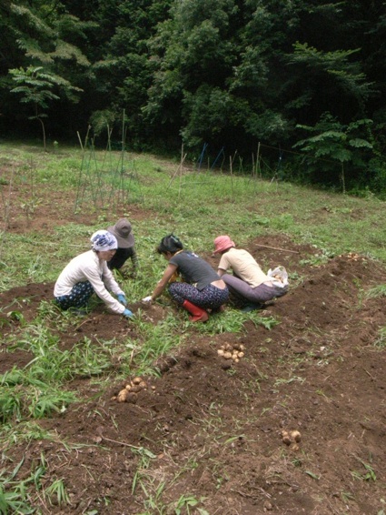c0138553_15041.jpg