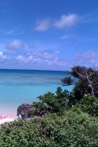 e0050753_129679.jpg