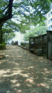 f0208355_81526.jpg
