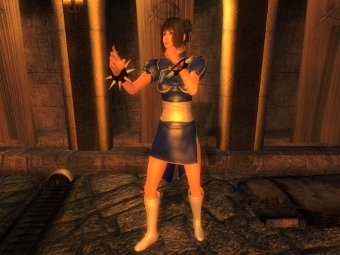 OBLIVION: 素手攻撃変更MOD Sephs Hand to Hand Animation Replacer & 服MOD xxxx-Li outfit_a0056168_23592379.jpg