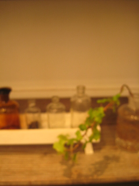c0192970_73057.jpg
