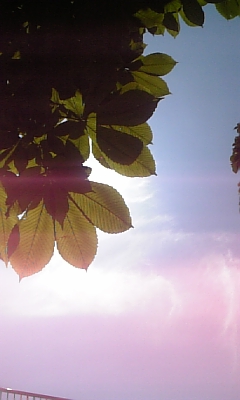 f0177670_2059720.jpg