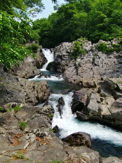 f0059473_133740100.jpg