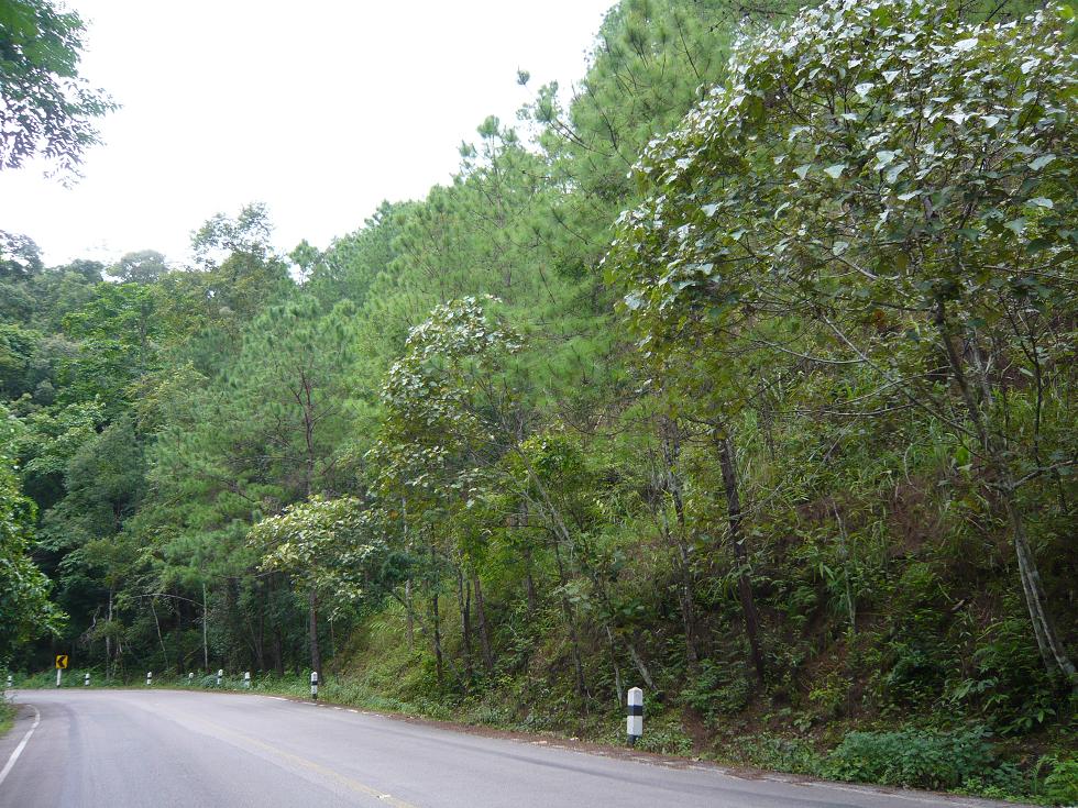 f0178278_11268.jpg