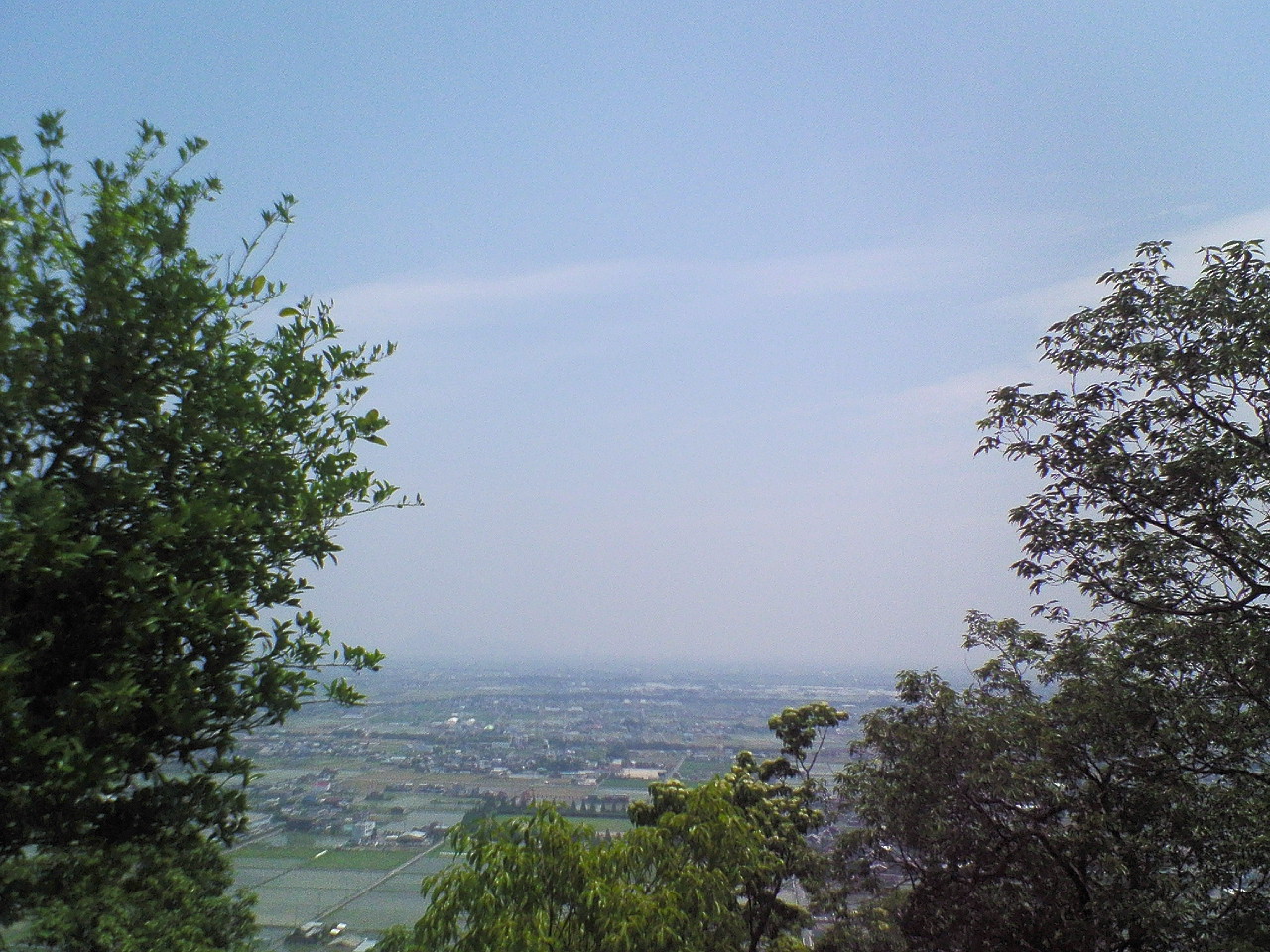 f0004379_20336.jpg