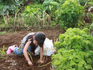 「じゃがいもほり」をしました♪_b0160880_12323224.jpg